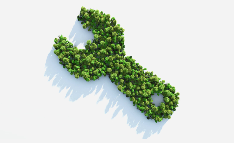 Signcomplex and Environment