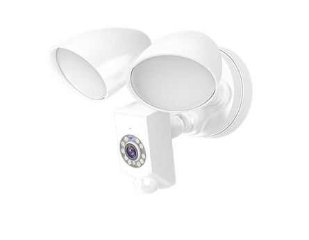 Security Light