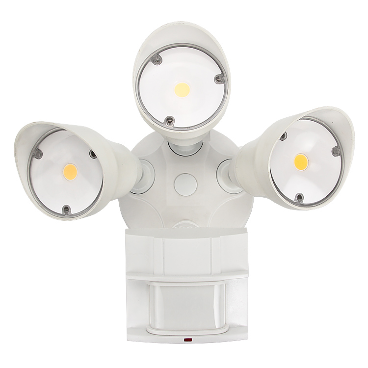 Motion Security Lights