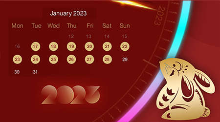 Chinese New Year Holidays Notice