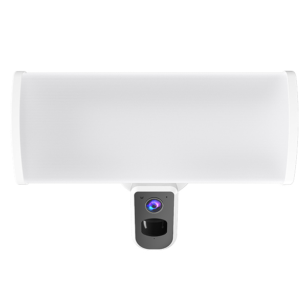 Camera Motion Security Lights SEC401P