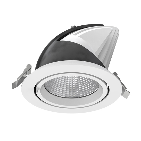 Gimble COB Downlight