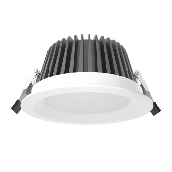 IP65 Waterproof Downlight