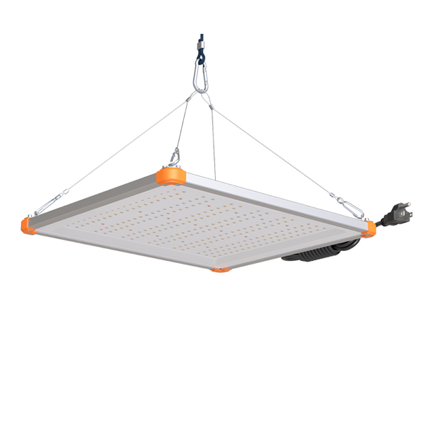 QCD Series Grow Light