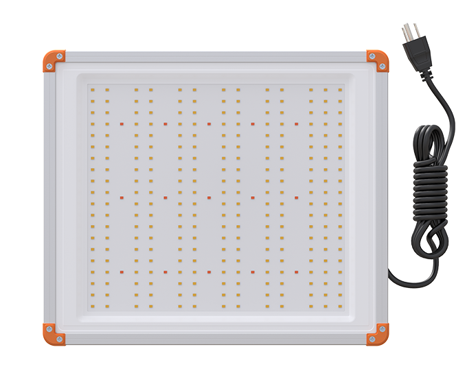 qcd series grow light made by signcomplex