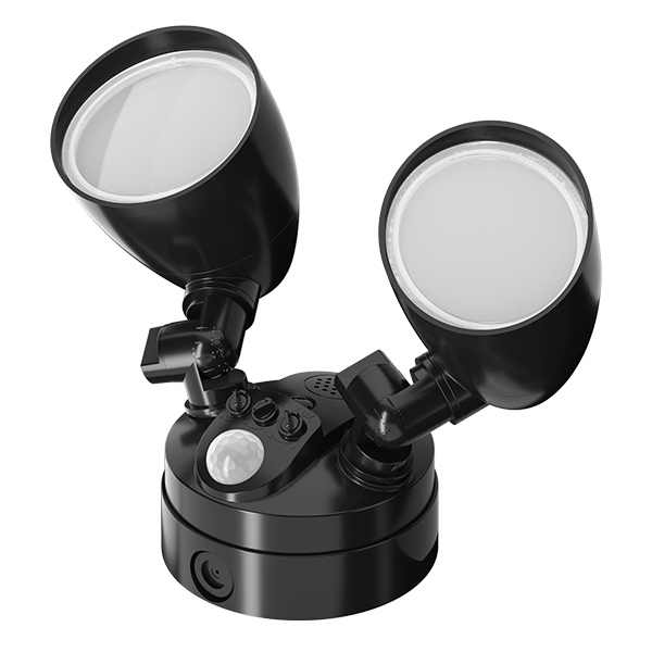 adjustable motion sensor light