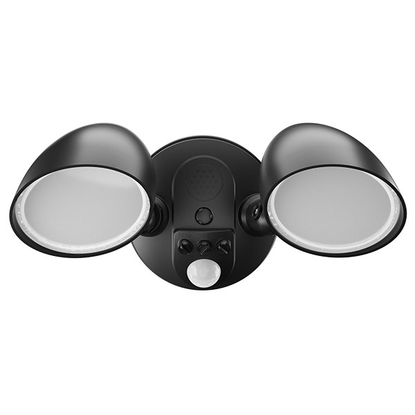 adjustable security light