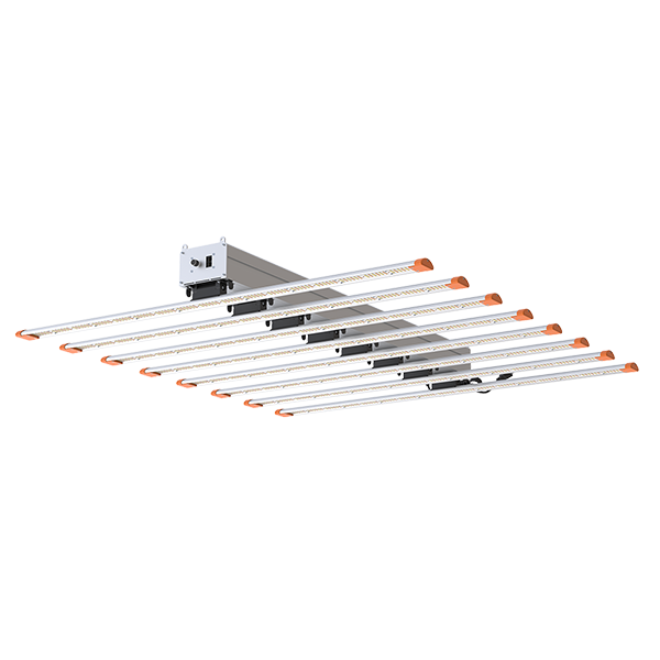 1000 watt grow light