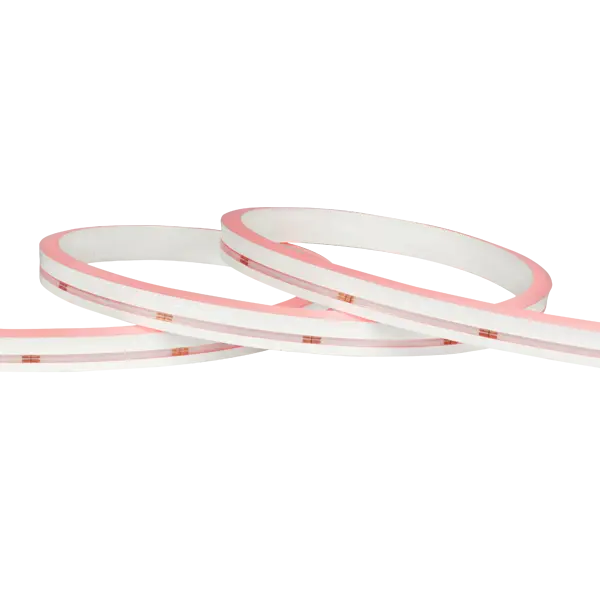 neon flex rgb