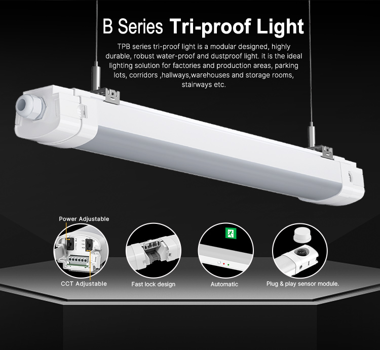 b_series_tri-proof_light_m_04.jpg