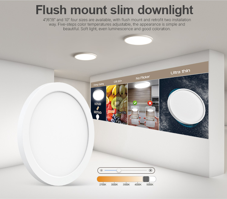 flush mount downlight