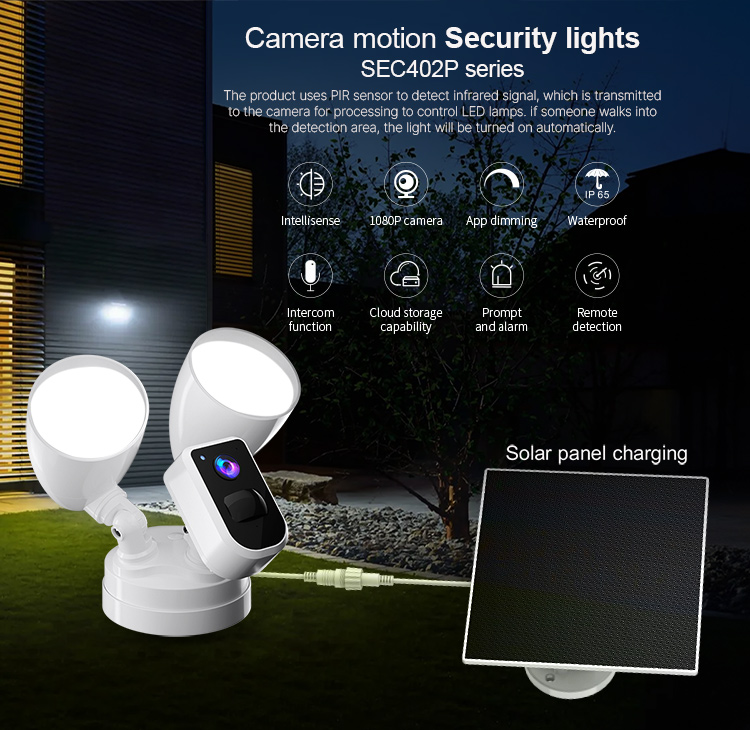 security_lights_sec402p-m.jpg