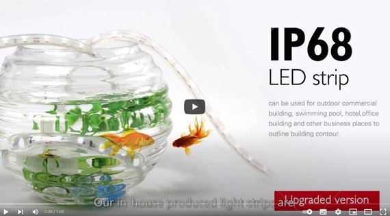 LED Strip