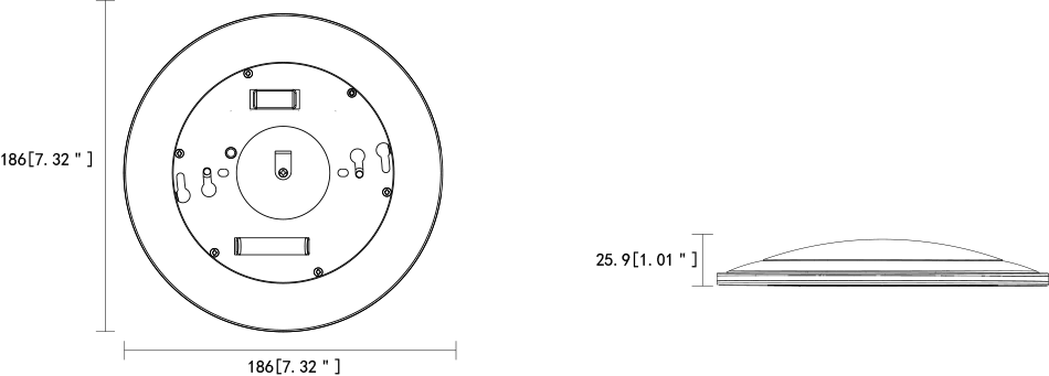 DL205Y_size.png