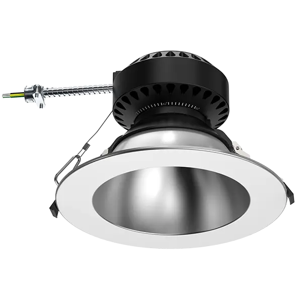 dl109