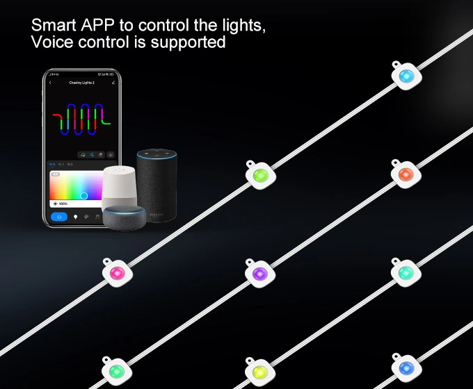 smart permanent outdoor string lights2