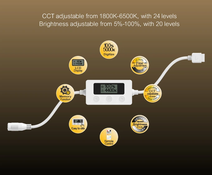 dual cct strip kit 1