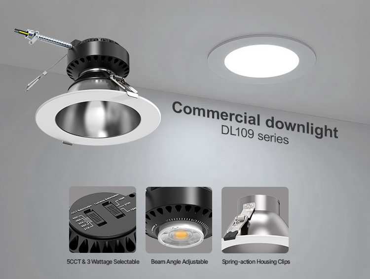 Commercial downlight DL109 series