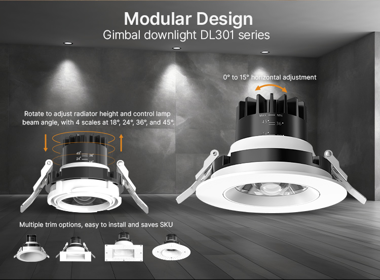 Modular_Design_Gimbal_downlight_DL301_series-m.jpg