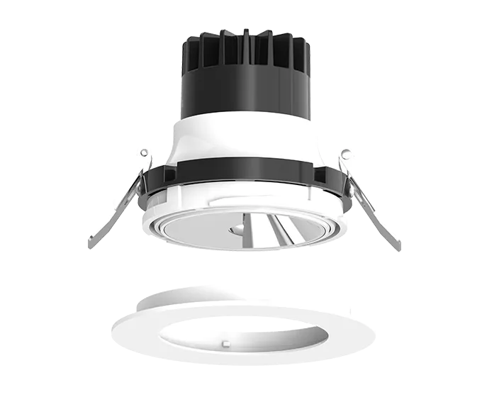 Polarized Wall Grazing Downlight DL301-4PL series