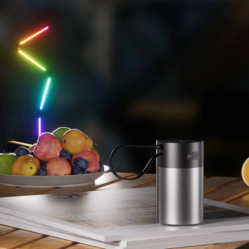 Foldable Floor Lamp Portable Version