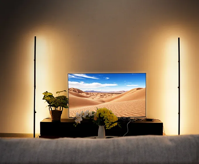 Foldable Floor Lamp Portable Version